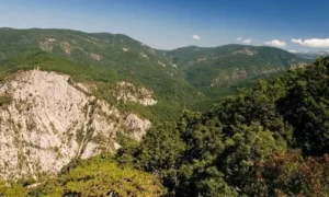 Kaz Dağları haberleri