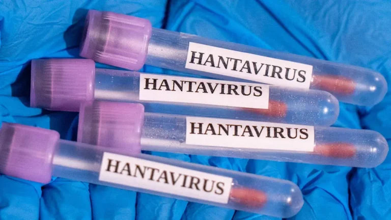 hantavirüs
