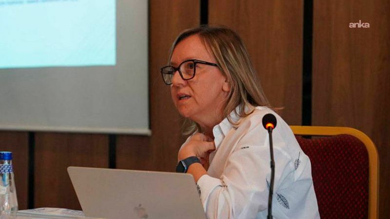 NATO Zirvesi tutuklamaları