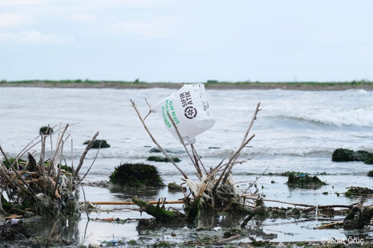 Avrupa’dan Türkiye’ye gönderilen plastik