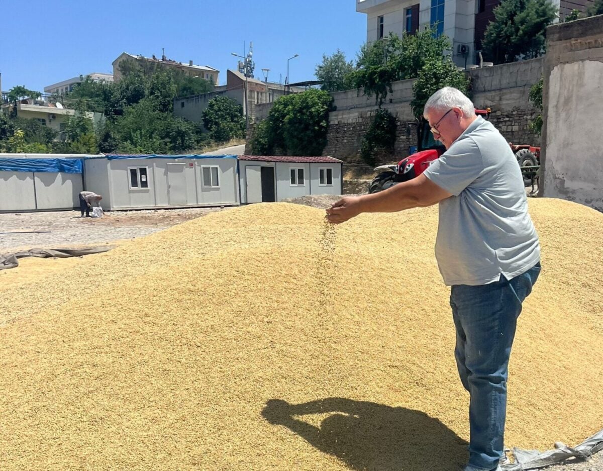 Girdi maliyetleri arttı, hububat fiyatı aynı kaldı
