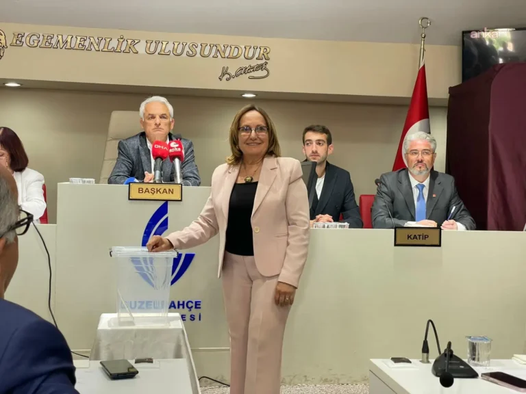ayşe akın
