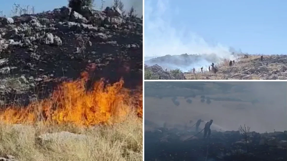 adıyaman'da orman yangını