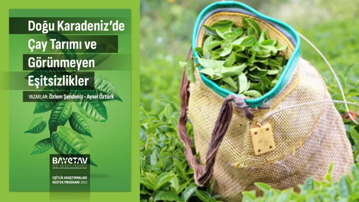 Doğu Karadeniz’de Çay Tarımı