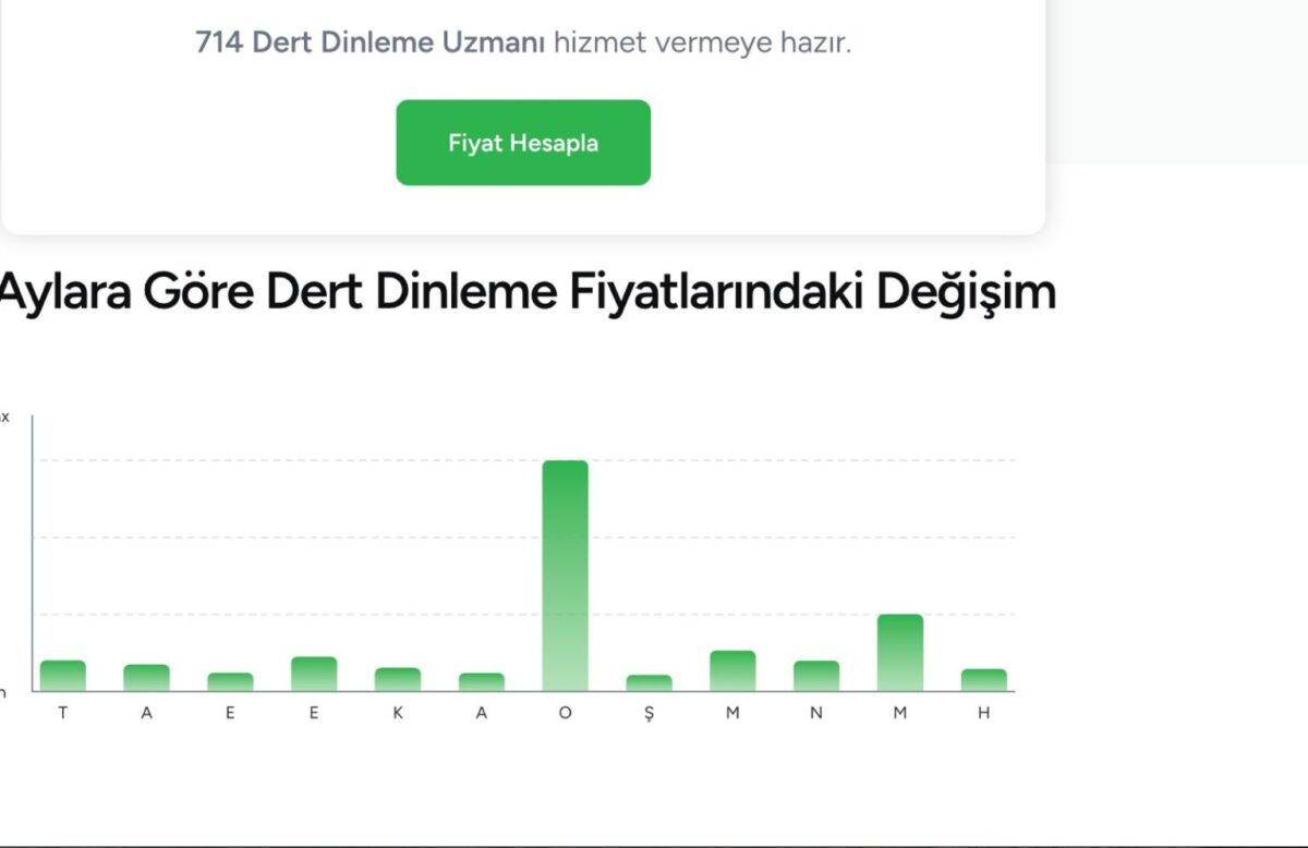 Dertleriniz itinayla dinlenir: Yalnızlık ekonomisi Türkiye'de dijital platformlara taşındı