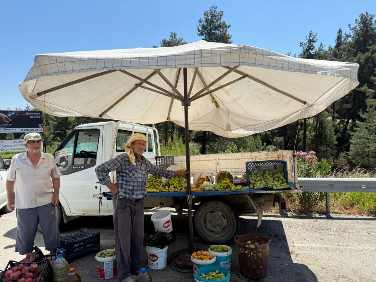 Yol kenarı tezgâhları: Küçük üreticinin aracısız satış alanı
