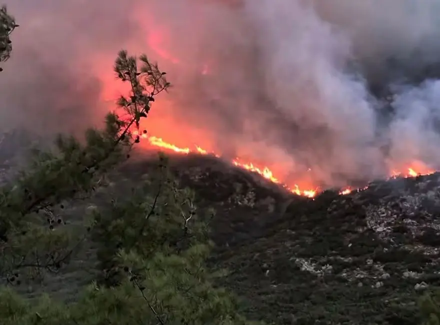 Muğla'da yangınlarla mücadele Hastane