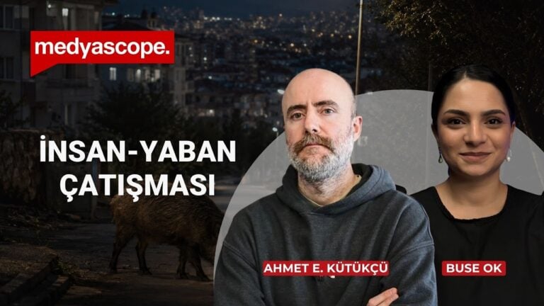 Çekirge istilası gerçek mi?