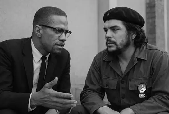 Che ve Malcolm X