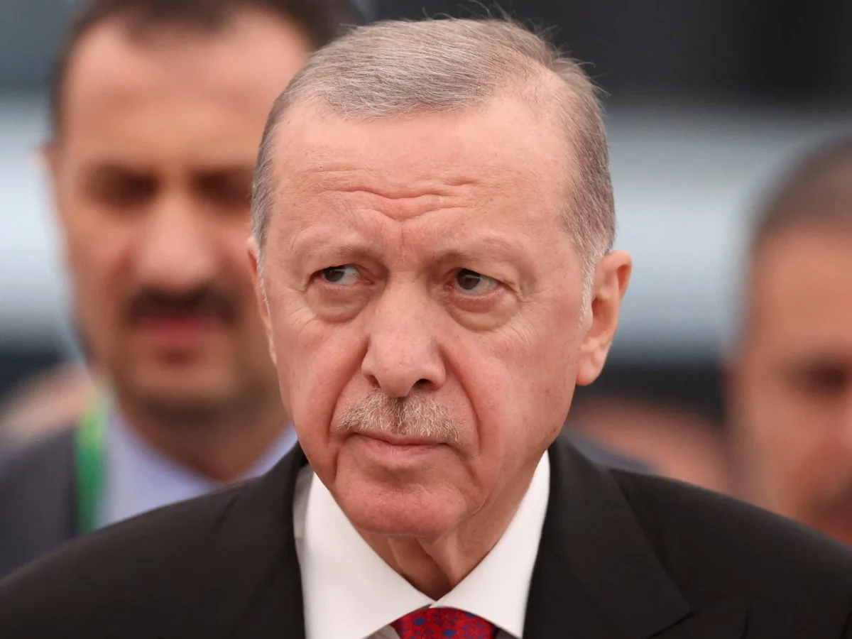 Turkey's ruling party retakes district amid arrests, defections 1