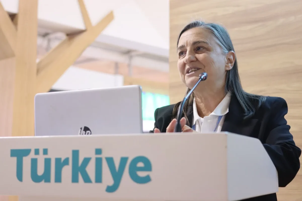 İklim zirvelerinde hayvan hakları
