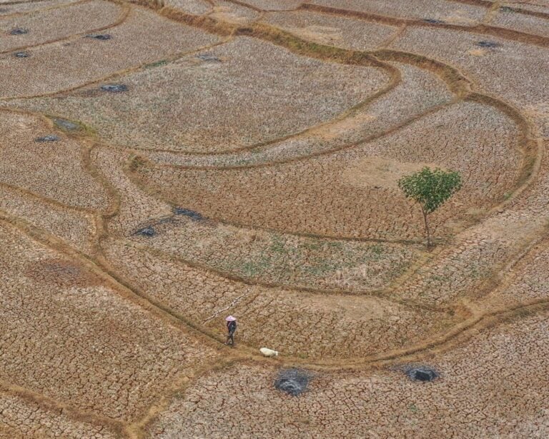 El Niño, aşırı sıcaklar