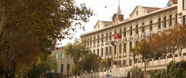 Kadir Has Üniversitesi'nin kedileri barınağa gönderdiği iddia edildi: "İdari personele 'beslemeyin' e-postası atıldı"