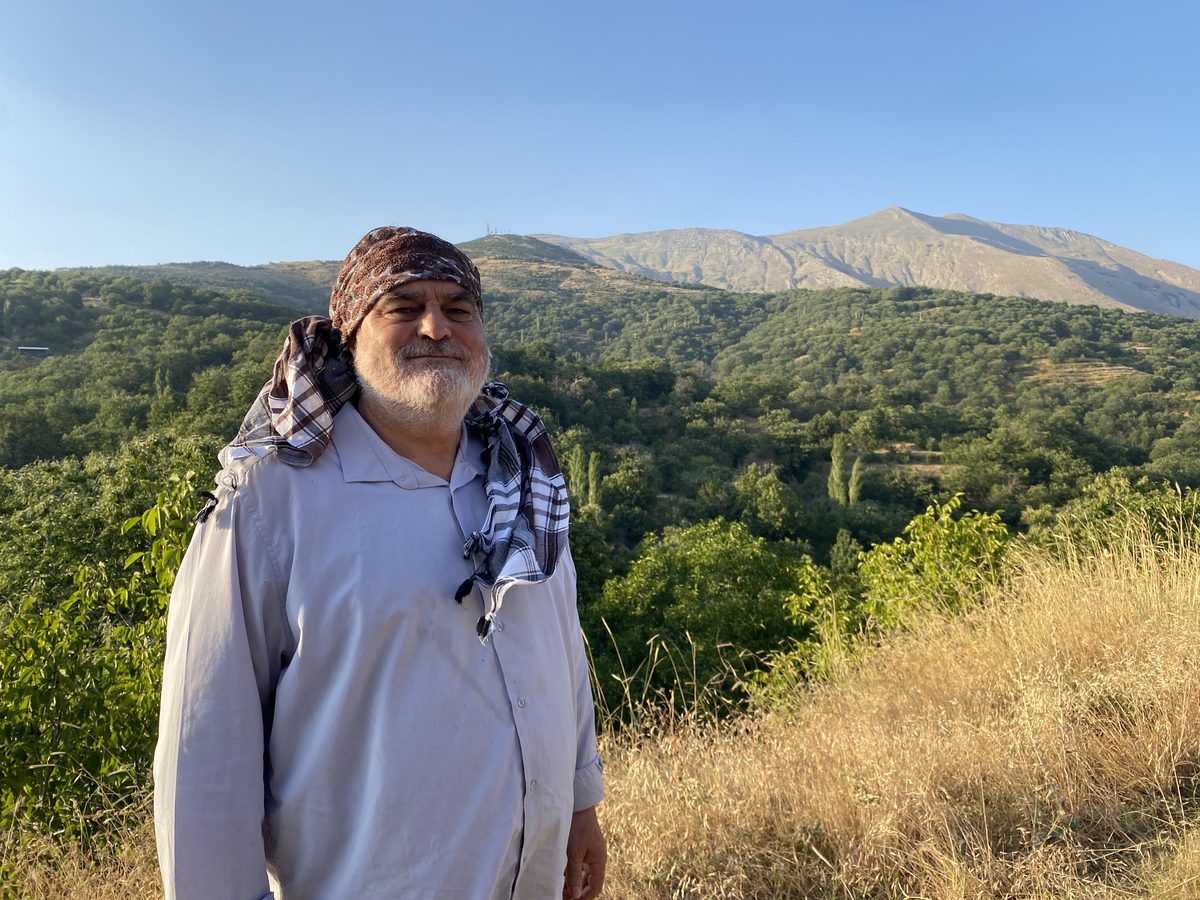 İzmir-Bozdağlar’da maden tepkisi: “Altın otu toplamak istiyoruz, maden değil”