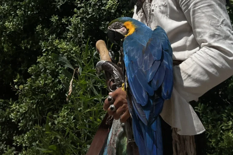 Muğla’da turizmin