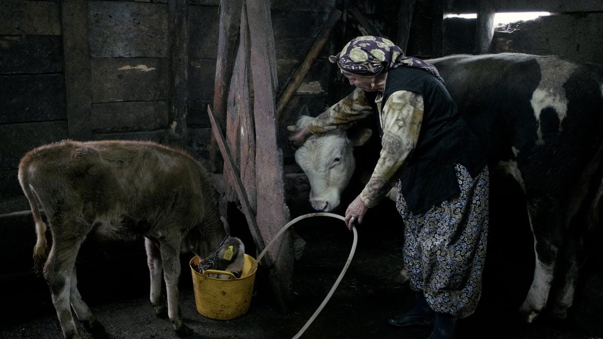 “Koca Dünya” belgeseli dünya prömiyerini Ankara Film Festivali’nde gerçekleştiriyor