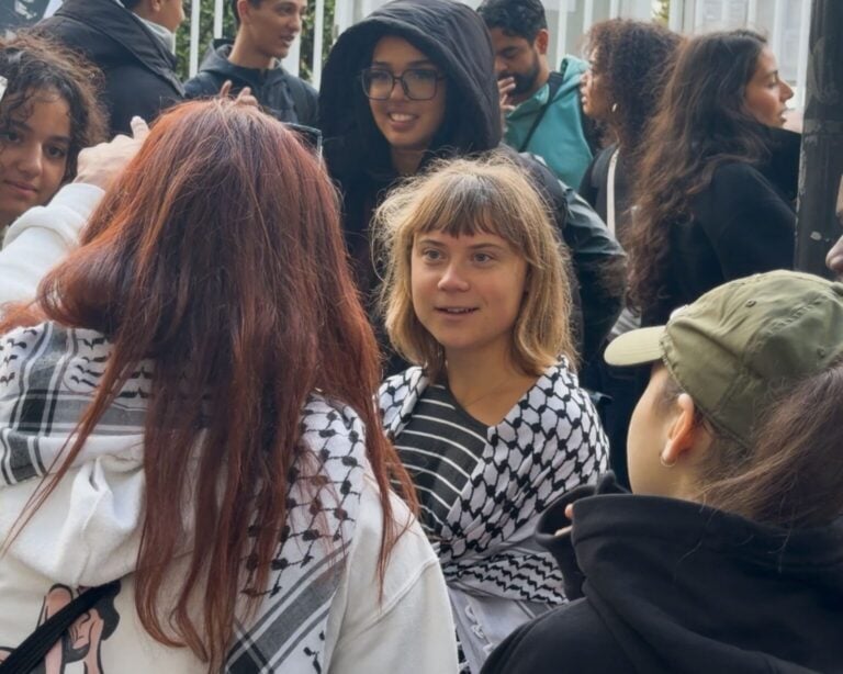 Greta Thunberg, Fransa-protesto