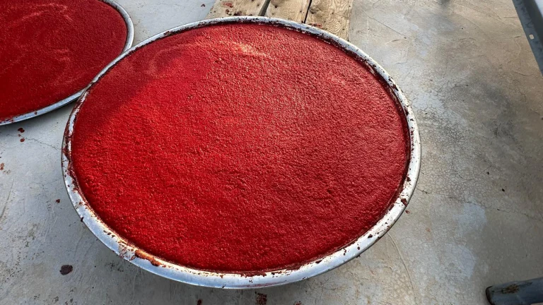 Deprem sonrası toz azaldı